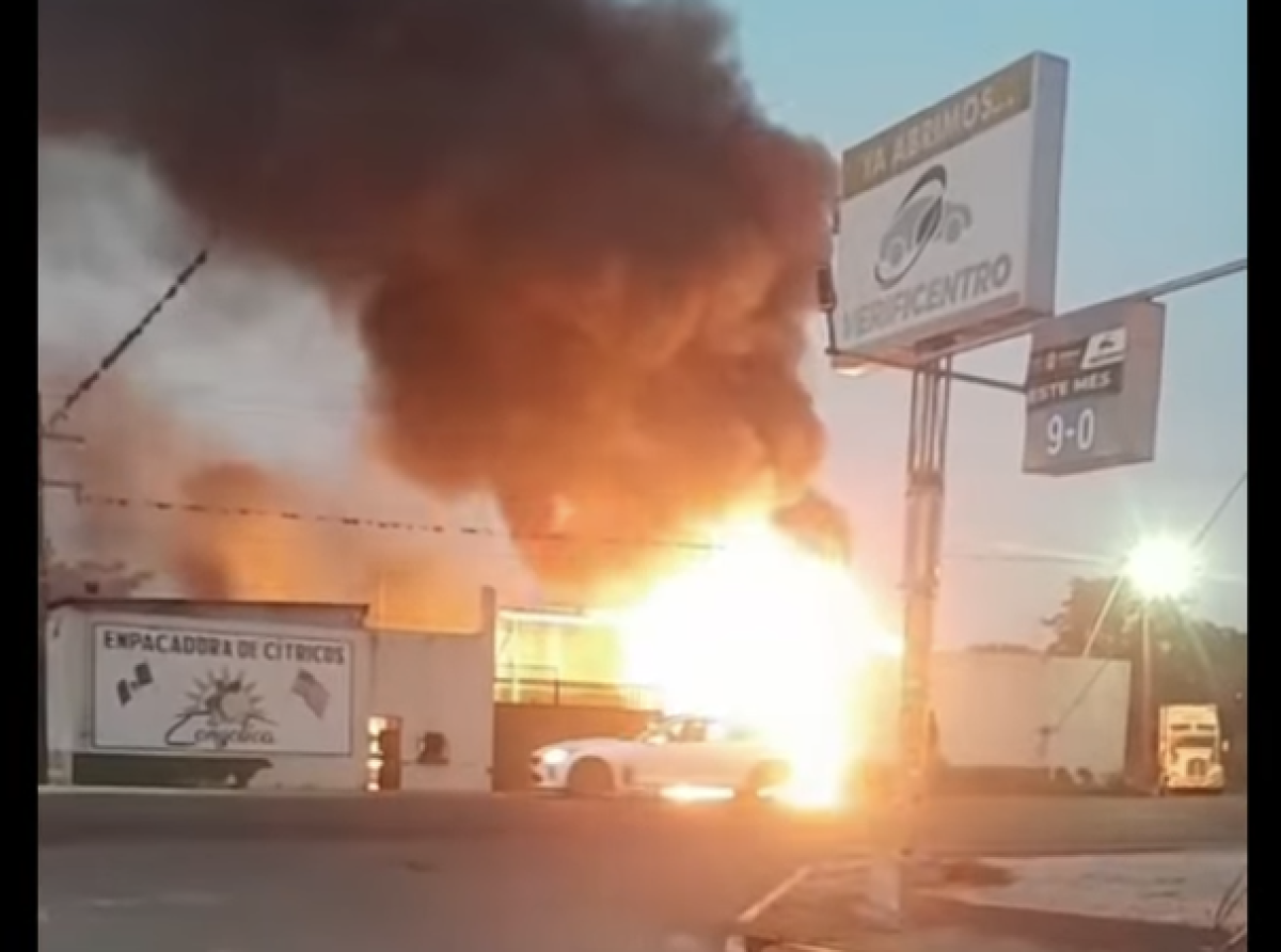 Atendiendo Las Causas